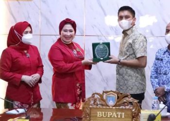 Bupati Ogan Ilir Menerima Kunker dan Audensi Organisasi Perempuan Wanita Palembang (PWP SS)