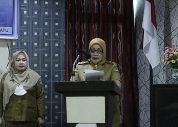 Cegah Kekerasan Terhadap Perempuan dan Anak, Sinergritas PKK Dan DP3A Sangat Diperlukan