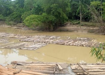 Ketua Umum LBHK – Wartawan, Desak Kapolri Agar Perintahkan Kapolda Aceh Untuk Menangkap Pelaku Ilegal Logging di Aceh Timur,, Pelaku Bebas Merusak Hutan ?