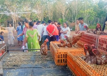 Kades Karang Anyar Bagikan 540 Ekor Ayam Dalam Rangka Sambut Ramadhan 1443 H