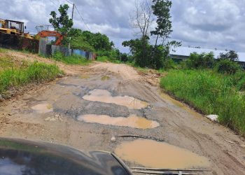 Bupati Berau Harus Tutup Tambang Batubara Ilegal, Jalan Rusak Akibat Truk Pengangkut Batubara, Warga Protes