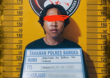 Bibiw Seorang Pengedar Narkoba Berhasil Dibekuk Satresnarkoba Polres Bangka Beserta BB Puluhan Paket Shabu Siap Edar