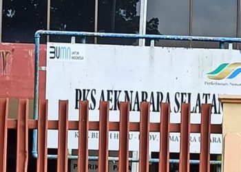 LSM ICON – RI Desak DPRD Kabupaten Labuhanbatu Sidak, Dugaan Pencemaran Lingkungan Oleh PMKS