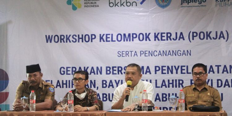 Pemkab Labuhanbatu Muliakan Kaum Ibu dan Bayi Lewat Pokja KIBBLA