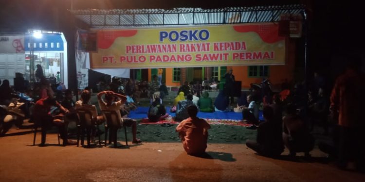 Viralnya Kekisruhan Warga Pulo Padang Dengan Pengangkutan Brondolan ke PKS Pulo Padang Sawit Permai, Bupati Harus Bertindak