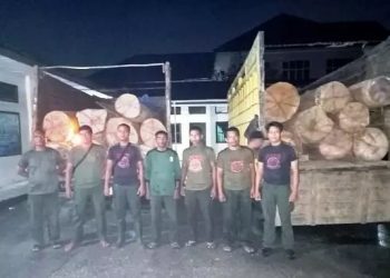 KPH III Wilayah Aceh dan BKPH Amankan 2 Truk Muatan Kayu Tanda Dokumen