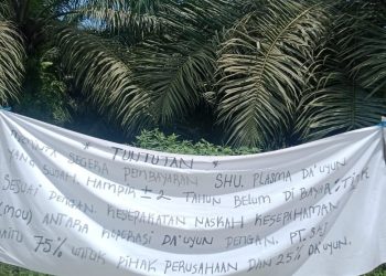 LBHK Wartawan Berau, Meminta  PT. SKJ Segera Membayar Sawit Plasma Masyarakat Melalui Koperasi Dauyun, Sesuai RDP Dengan DPRD