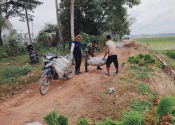 Manfaatkan Lahan Kosong, Babinsa 24/Dri Sambangi Perkebunan Cabe