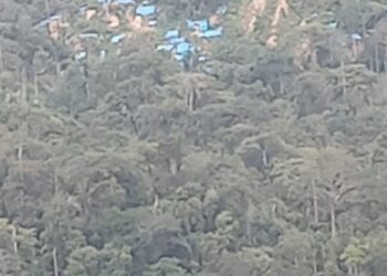 FPII Kabupaten Madina Minta Polisi Menangkap Preman Yang Aniaya Wartawan, Diduga Karena Pemberitaan Tambang Liar