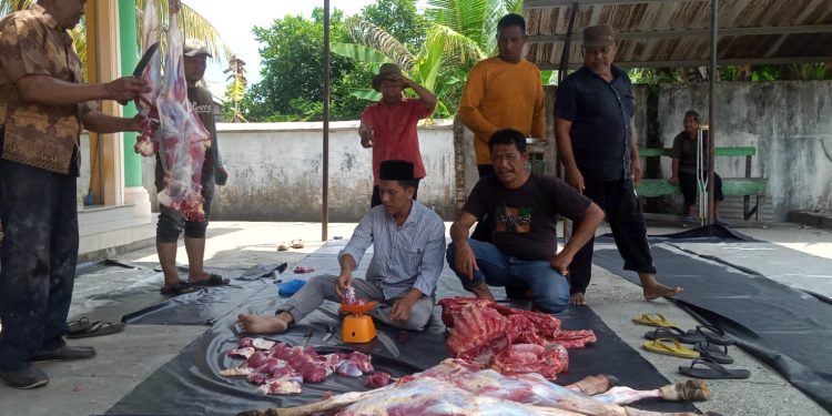 Program Ketahanan Pangan Tahun 2022, Geuchik Sungai Pauh Tanjung Sembelih Sapi dan Kambing