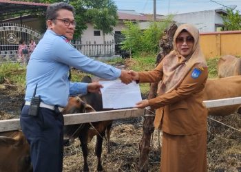 Kepala Dinas Pendidikan Dan Kebudayaan Kota Langsa Sumbang 10 Ekor Hewan Kurban
