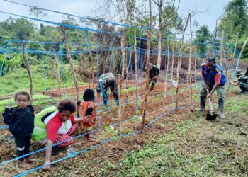 Semai Bibit Tanaman Satgas Pamtas RI-PNG Yonif 111/KB Dan Masyarakat Kampung Mawan Gelar Kampung Sejahtera*