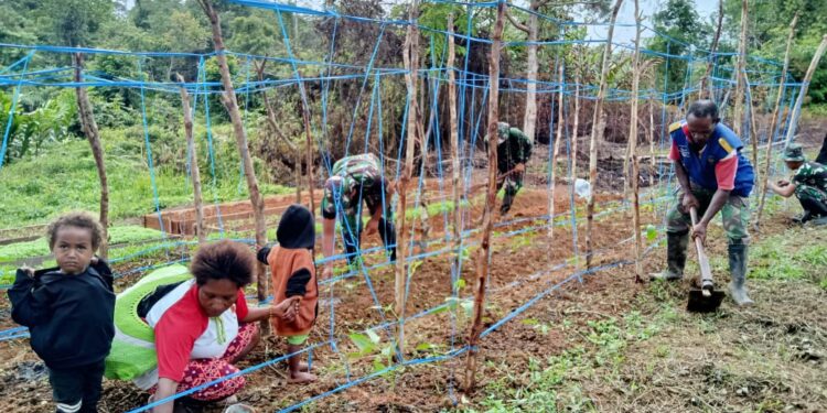 Semai Bibit Tanaman Satgas Pamtas RI-PNG Yonif 111/KB Dan Masyarakat Kampung Mawan Gelar Kampung Sejahtera*