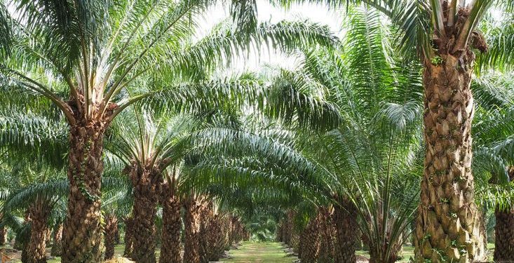 Di Duga Lahan Milik Negara Dijual Belikan,Aparat  Penegak  Hukum Diminta Turun Tangan