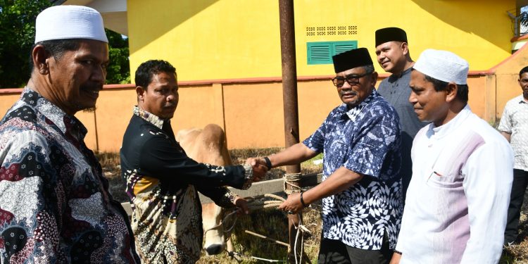 Pemko Langsa Serahkan 70 hewan Kurban Untuk Gampong Gampong Dalam Wilayah Kota Langsa