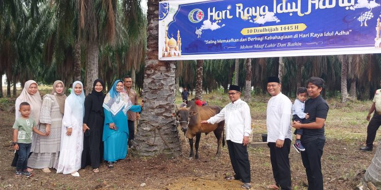 PT.CMN  Sembelih 5 Ekor Sapi Untuk Hewan Qurban