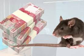 Dana BOS Thn 2024-2023 Rp.4,1 M lebih Diteroma SMKS Yapia Parung Kabupaten Bogor, Orantua Murid Duga Dikorupsi