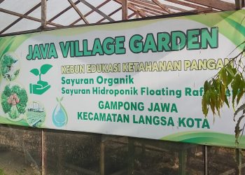 Kebun Program Ketahanan Pangan Dan PPK Gampong Jawa Gagal Dan Terbangkalai